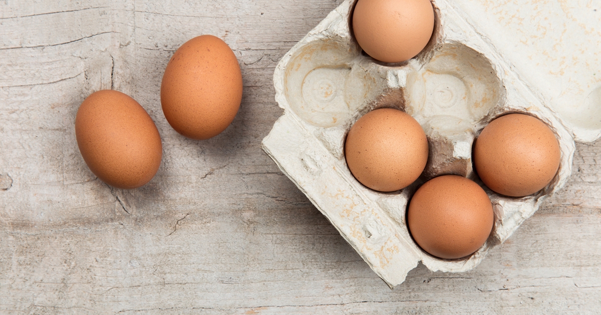Werfen Sie den Karton aus dem Eierkarton nicht weg! Mit dieser Technik können Sie sehr nützliche und bequeme Möbel herstellen.