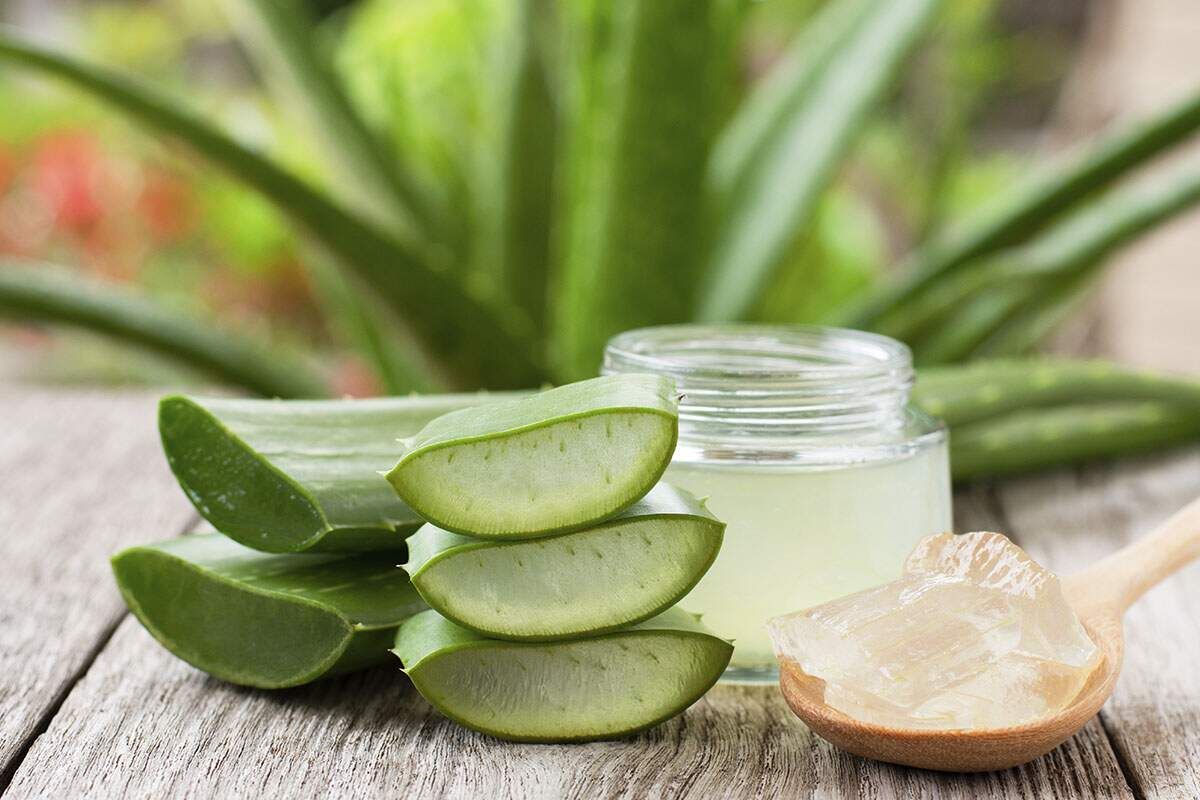 Wie Aloe Vera Ihre Haut verwandelt: sofortige Feuchtigkeitsversorgung, Beruhigung und Strahlkraft